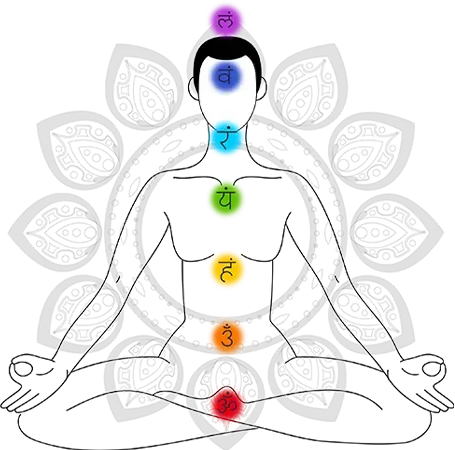 Natural Himaliya Rudraksh