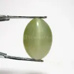 Natural Cat’s Eye - Lehsuniya Ratna -5.98 Carat