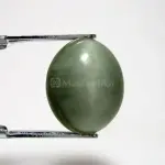 Natural Cat’s Eye - Lehsuniya - 6.58 Carat