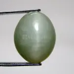 Natural Cat’s Eye - Lehsuniya -8.14 Carat