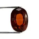 Natural Hessonite Garnet - 4.91 Carat