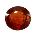 Natural Hessonite Garnet - 7.15 Carat