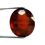 Natural Hessonite Garnet - 7.80 Carat