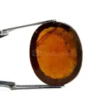 Natural Hessonite Garnet - 8.69 Carat
