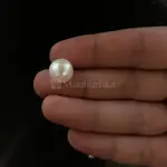 Pearl - Moti Ratna -11.38 Carat