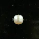 Pearl - Moti Ratna -11.38 Carat