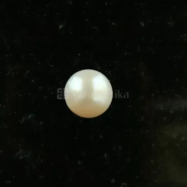 Pearl - Moti Ratna -11.38 Carat