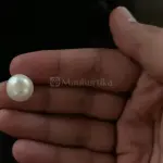 Pearl - Moti Ratna 13.65 Carat