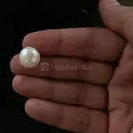 Pearl - Moti Ratna 13.65 Carat