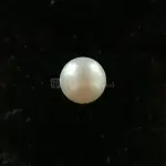 Pearl – Moti Ratna -6 Carat