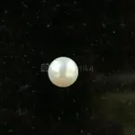 Pearl - Moti Ratna -8.49 Carat