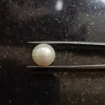 Pearl - Moti Ratna -8 Carat