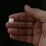 Pearl - Moti Ratna 9.36 Carat