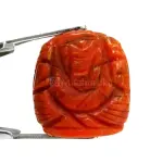 Natural Red Coral (Moonga) -10.15 Carat