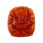 Natural Red Coral (Moonga) -10.15 Carat