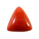 Natural Red Coral (Moonga) -11.52 Carat