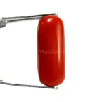 Natural Red Coral (Moonga) - 4.35 Carat