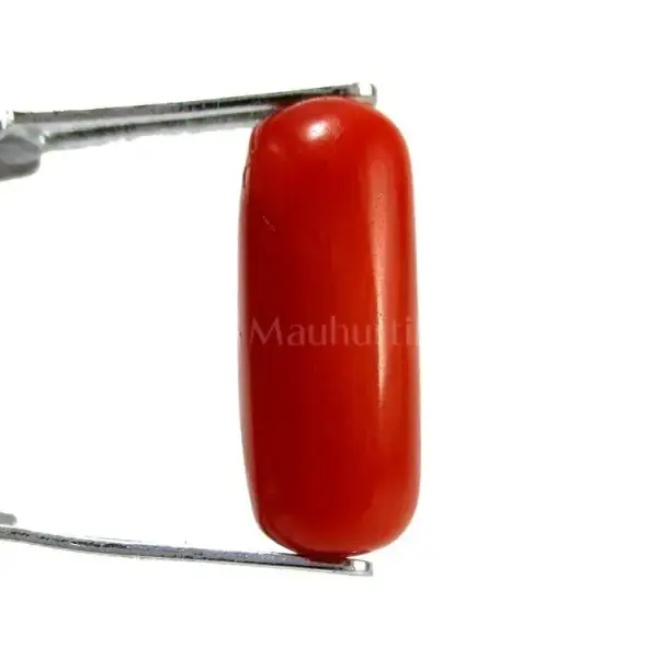 Natural Red Coral (Moonga) - 4.35 Carat