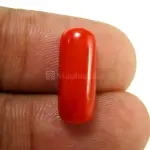 Natural Red Coral (Moonga) - 4.35 Carat