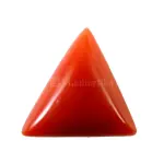 Natural Red Coral (Moonga) - 4.46 Carat