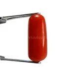 Natural Red Coral (Moonga) -4.70 Carat