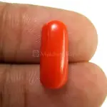 Natural Red Coral (Moonga) -4.70 Carat