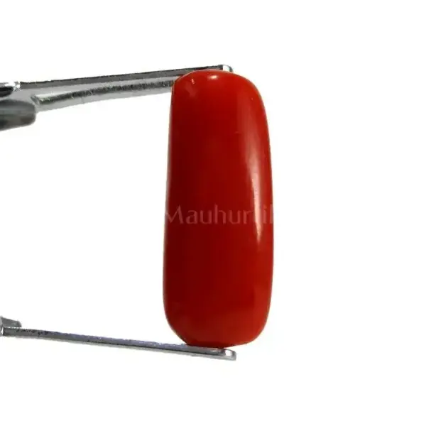 Natural Red Coral (Moonga) -4.83 Carat