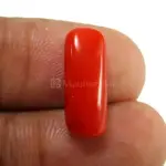 Natural Red Coral (Moonga) -4.83 Carat