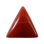 Natural Red Coral (Moonga) -5.96 Carat