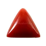 Natural Red Coral (Moonga) -6.04 Carat