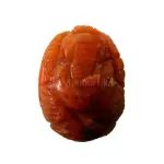Natural Red Coral (Moonga) - 6.52 Carat