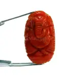 Natural Red Coral (Moonga) -7.47 Carat