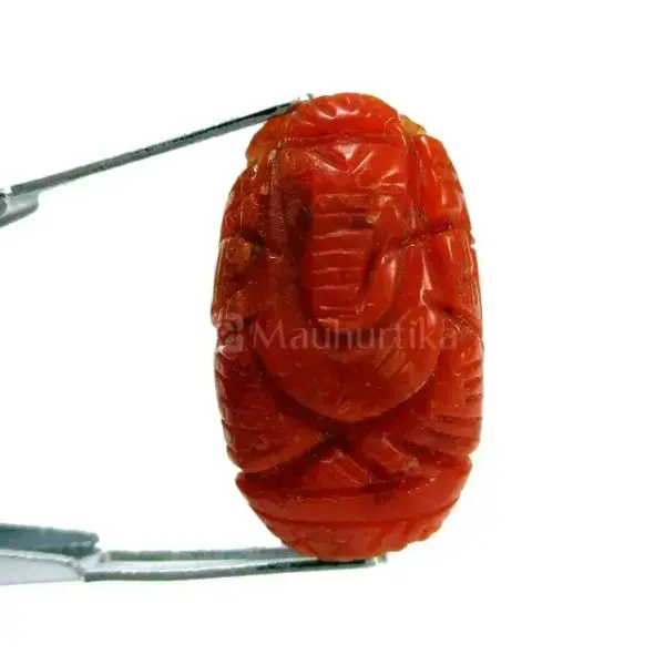 Natural Red Coral (Moonga) -7.47 Carat