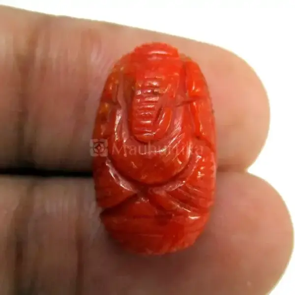 Natural Red Coral (Moonga) -7.47 Carat