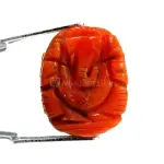 Natural Red Coral (Moonga) - 7.87 Carat