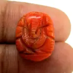 Natural Red Coral (Moonga) - 7.87 Carat
