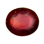 Natural Ruby (Manik) -11.53 Carat