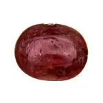 Natural Ruby (Manik) - 2.73 Carat