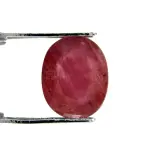 Natural Ruby (Manik) - 4.21 Carat
