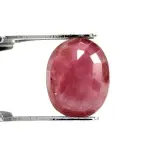 Natural Ruby (Manik) - 4.21 Carat