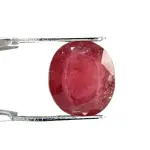 Natural Ruby (Manik) -4.62 Carat