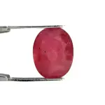 Natural Ruby (Manik) - 5.43 Carat