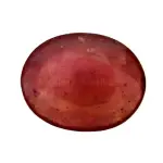 Natural Ruby (Manik) - 5.68 Carat