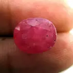 Natural Ruby (Manik) - 6.35 Carat