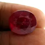 Natural Ruby (Manik) - 9.37 Carat