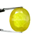 Natural Yellow Sapphire (Pukhraj) - 8.74 Carat