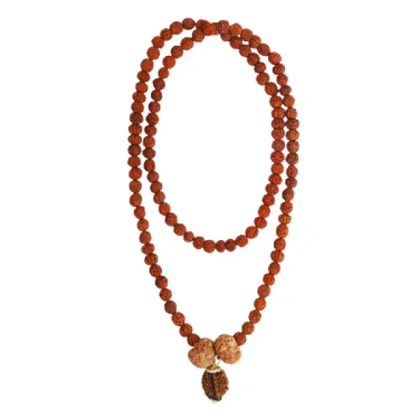 Swasth Vriddhi Mala - 7 Mukhi and 2 Mukhi Rudraksha
