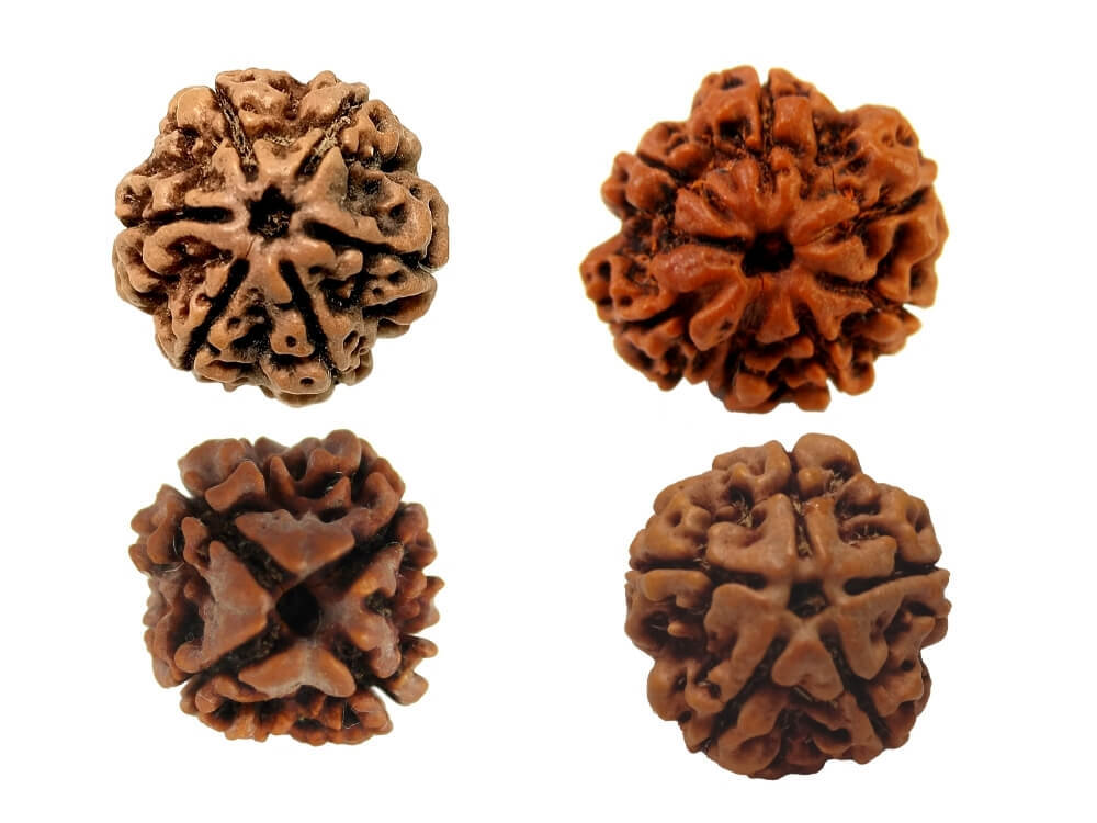 4 Mukhi, 5 Mukhi, 6 Mukhi, 7 Mukhi Nepali Rudraksha Combo Pack - Lab Certified