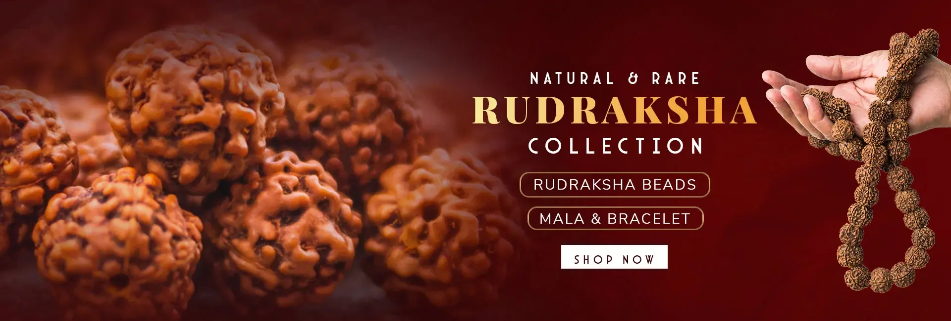 Natural Rudraksha Beads | Mauhurtika Gems